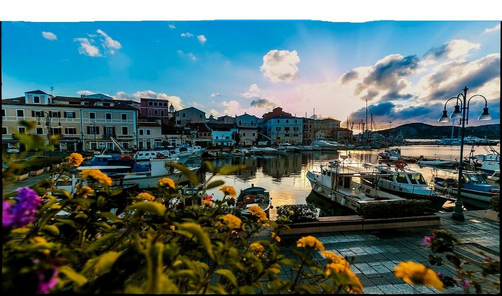 Bilocale Milu - Milu Holidays La Maddalena  Eksteriør bilde